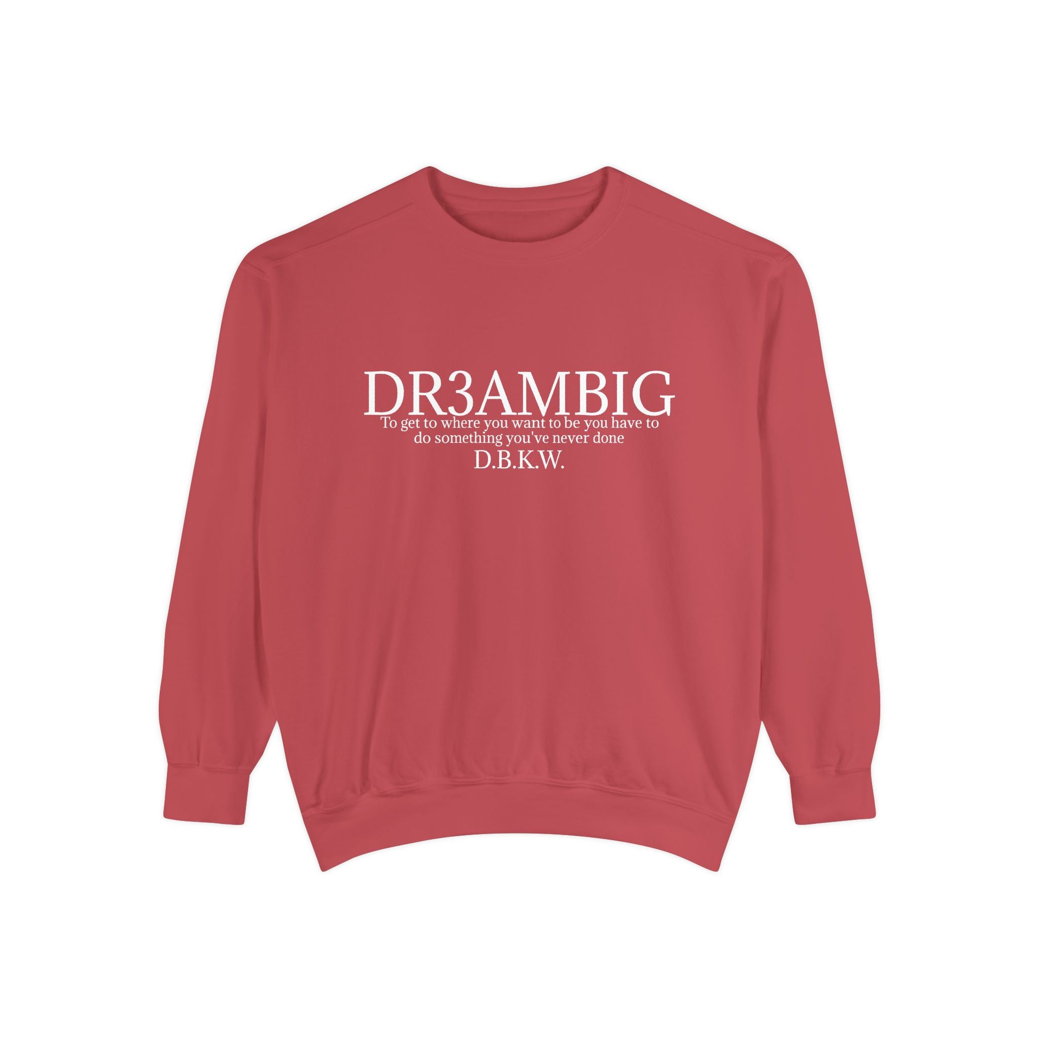Dream Big Sweatshirt — 'DR3AMBIG' Motivational Garment-Dyed Crewneck