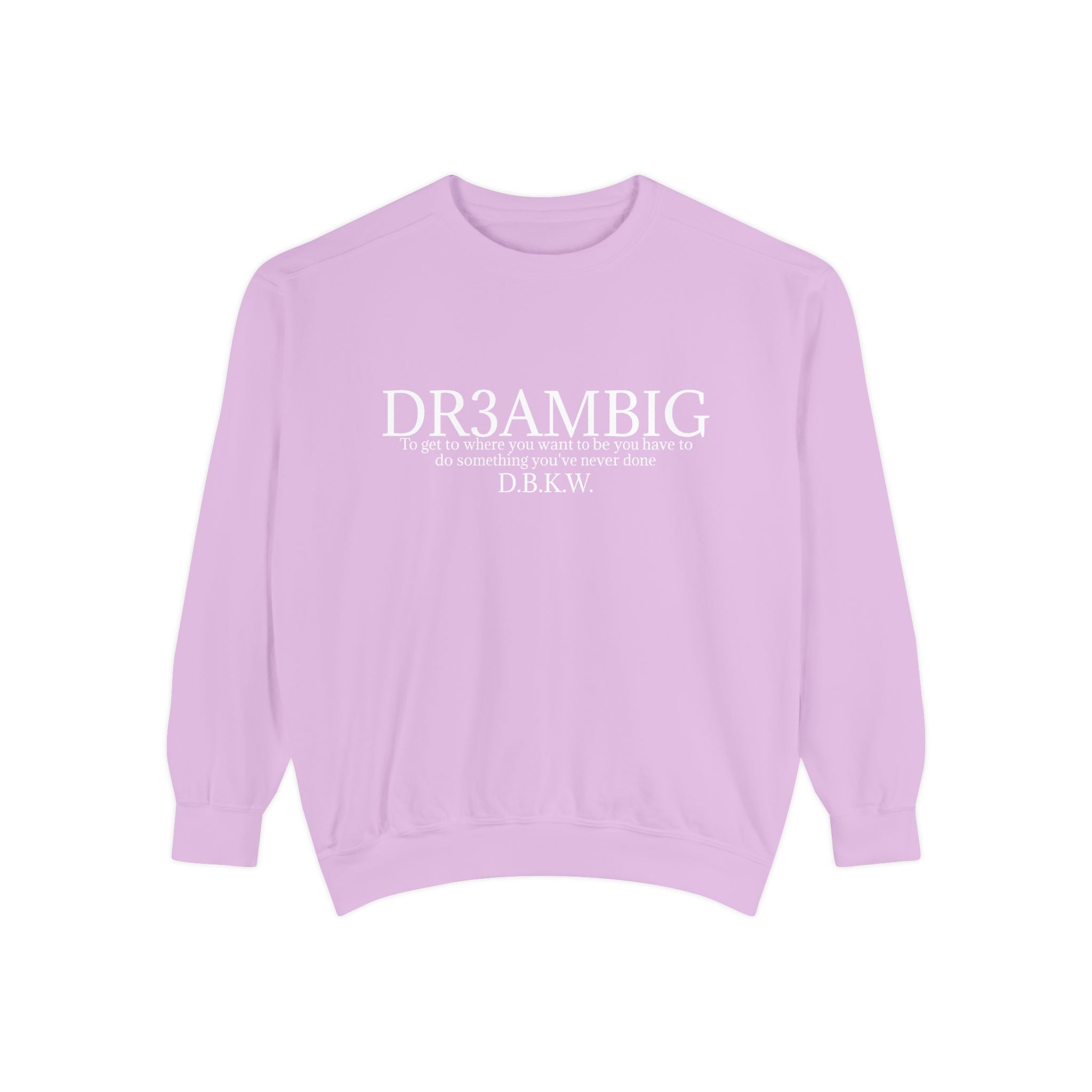 Dream Big Sweatshirt — 'DR3AMBIG' Motivational Garment-Dyed Crewneck