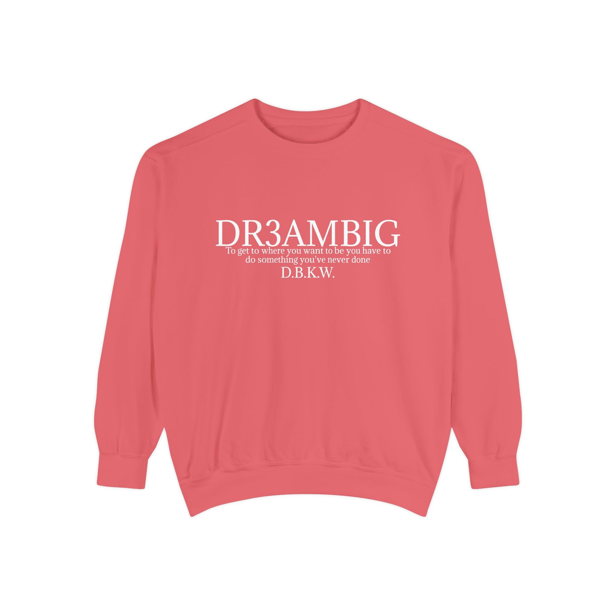 Dream Big Sweatshirt — 'DR3AMBIG' Motivational Garment-Dyed Crewneck