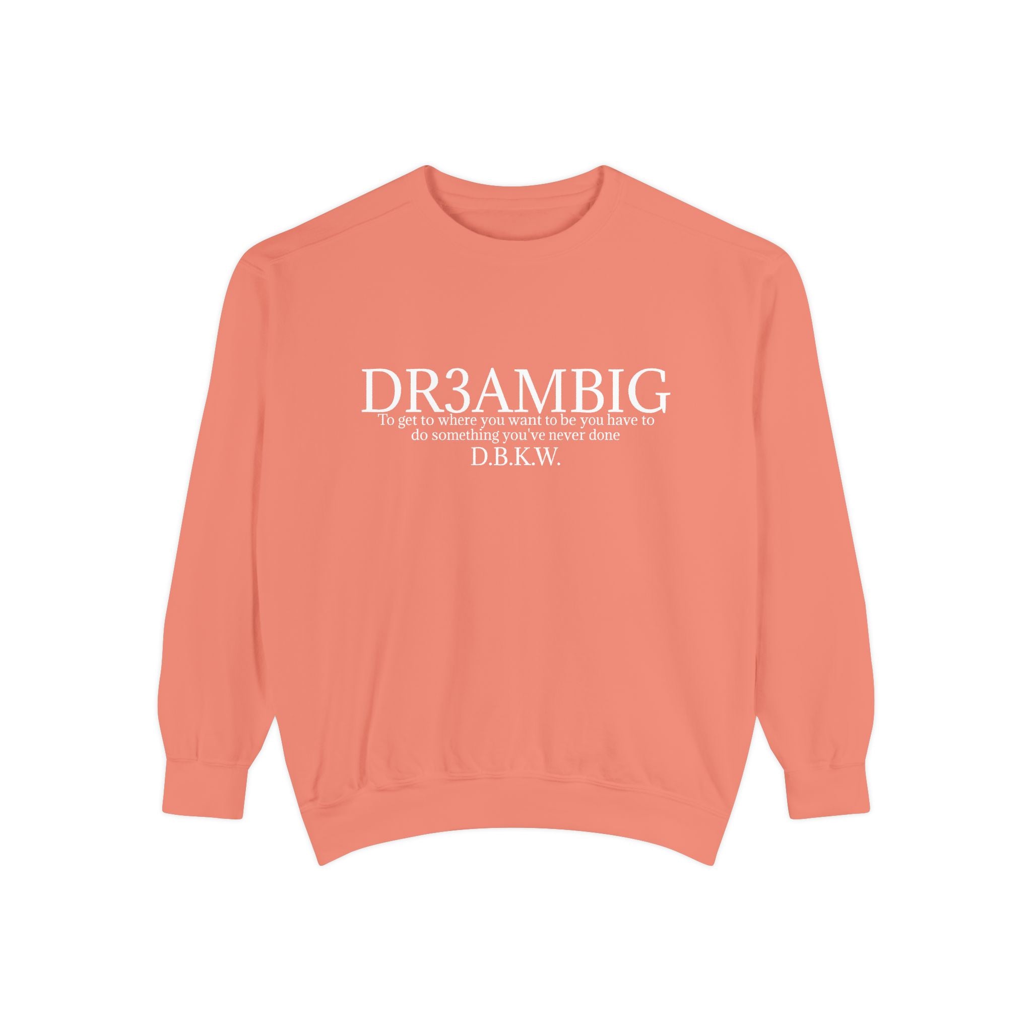 Dream Big Sweatshirt — 'DR3AMBIG' Motivational Garment-Dyed Crewneck